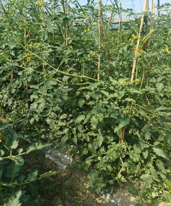 640.webp (14).png eee18fc6b8a0124d0829115d983d78b