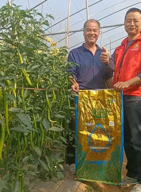 640 (1).webp (10).png 图片