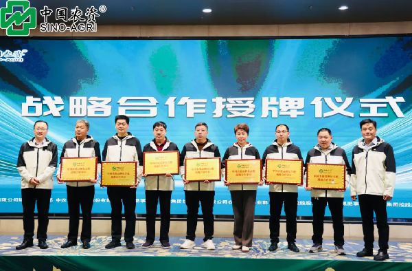 640.webp (29).png 图片