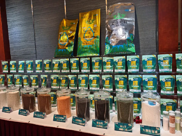 640.webp (25).png 图片