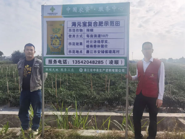 640 (1).webp (9).png 图片