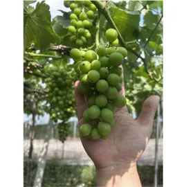 640.webp (15).png 微信图片_20250523202546