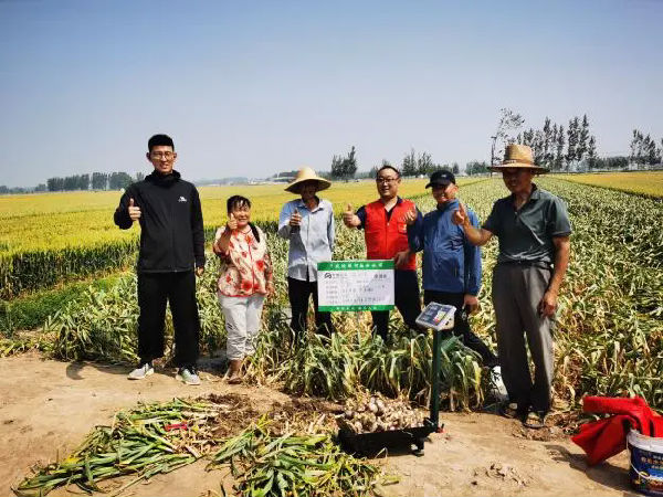 640.webp (13).png 微信图片_20250605153528