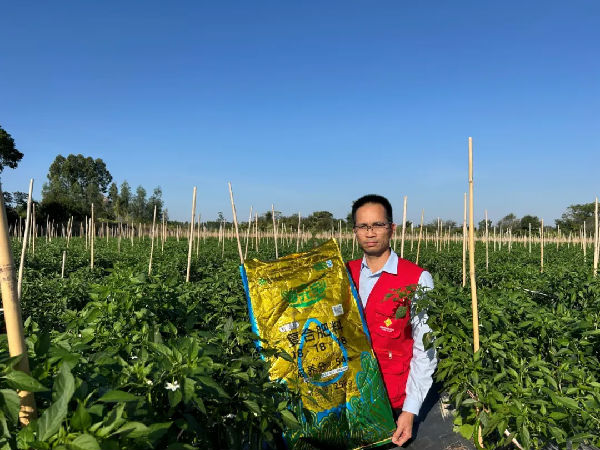 640 (1).webp (7).png 图片